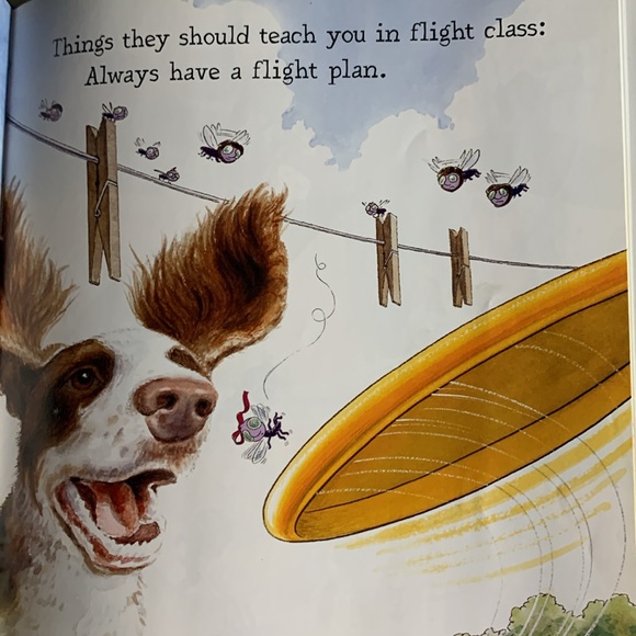 Diary of a Fly Hardback New Book - Picture 3 of 6